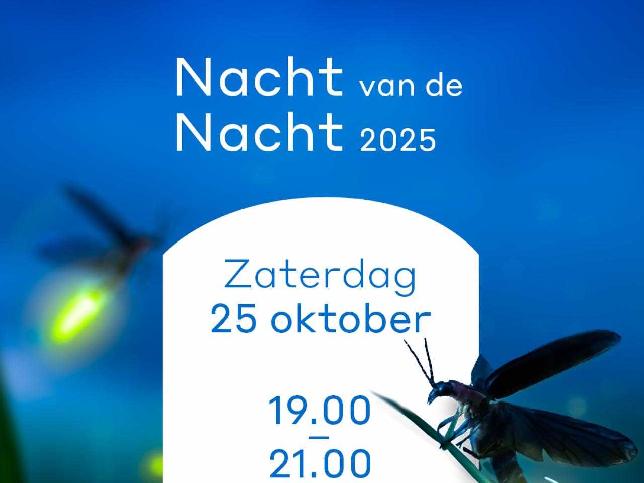 Flyer nacht van de nacht