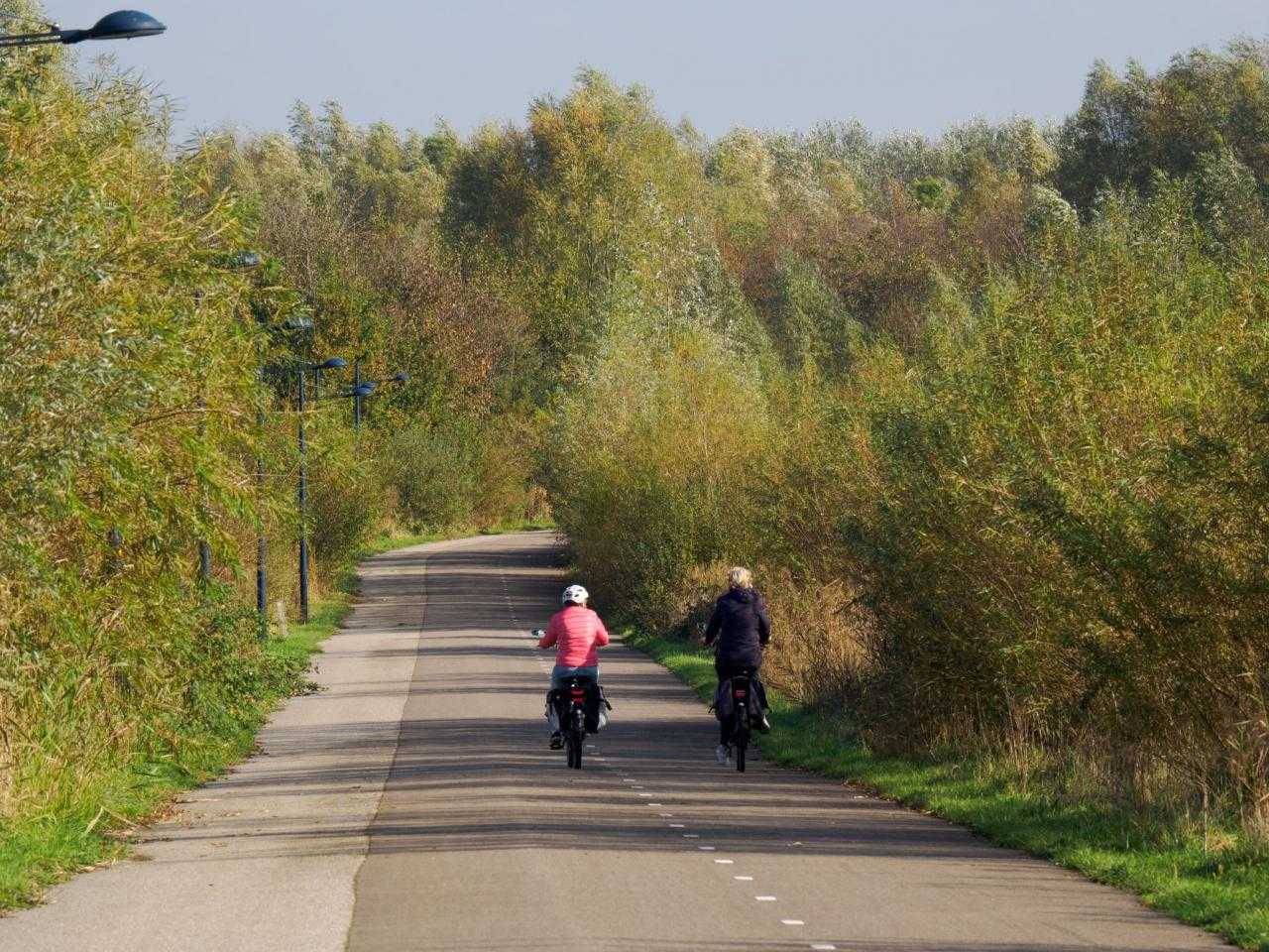 PARK21 people on bicycles