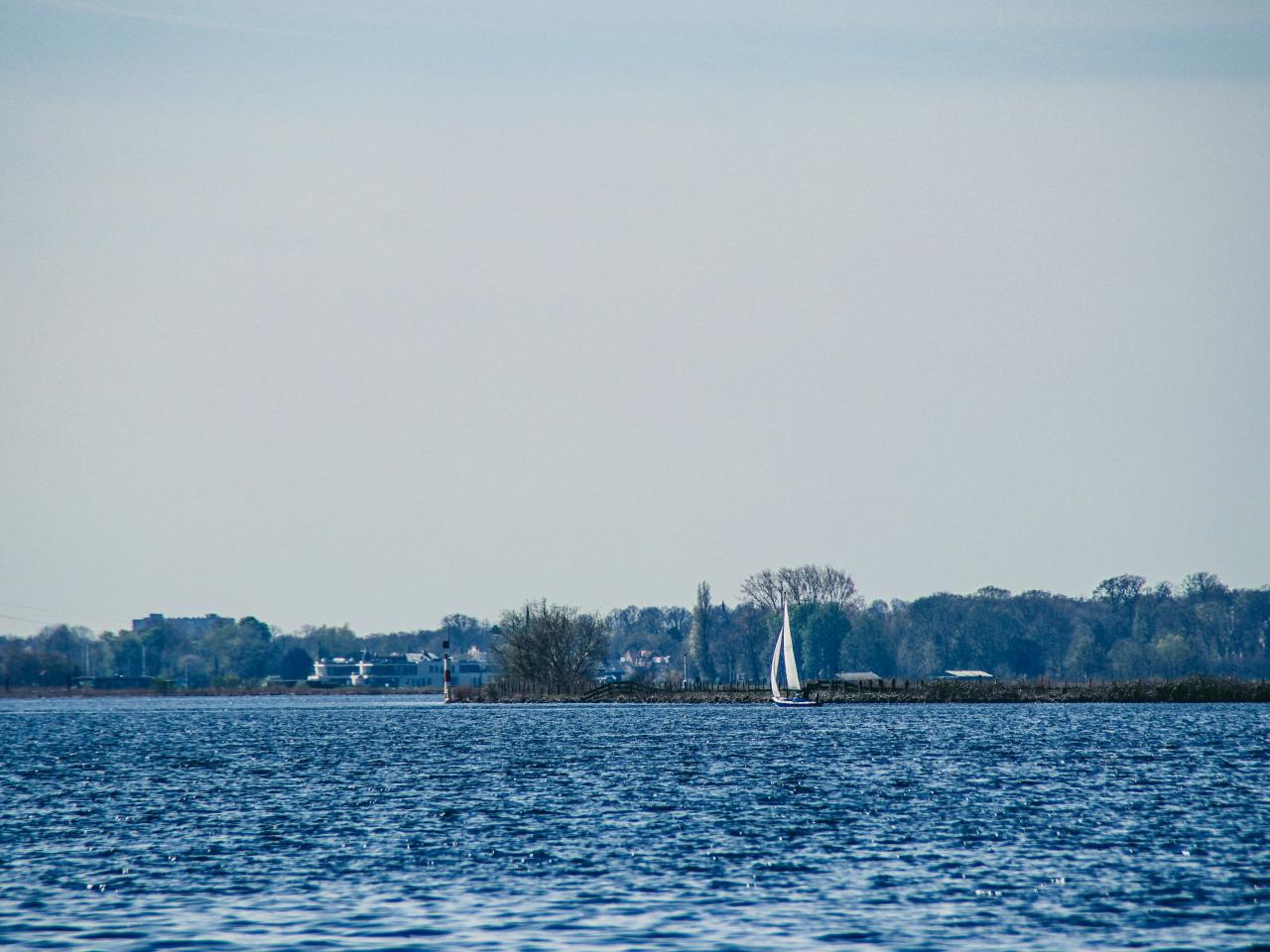 De ringvaart