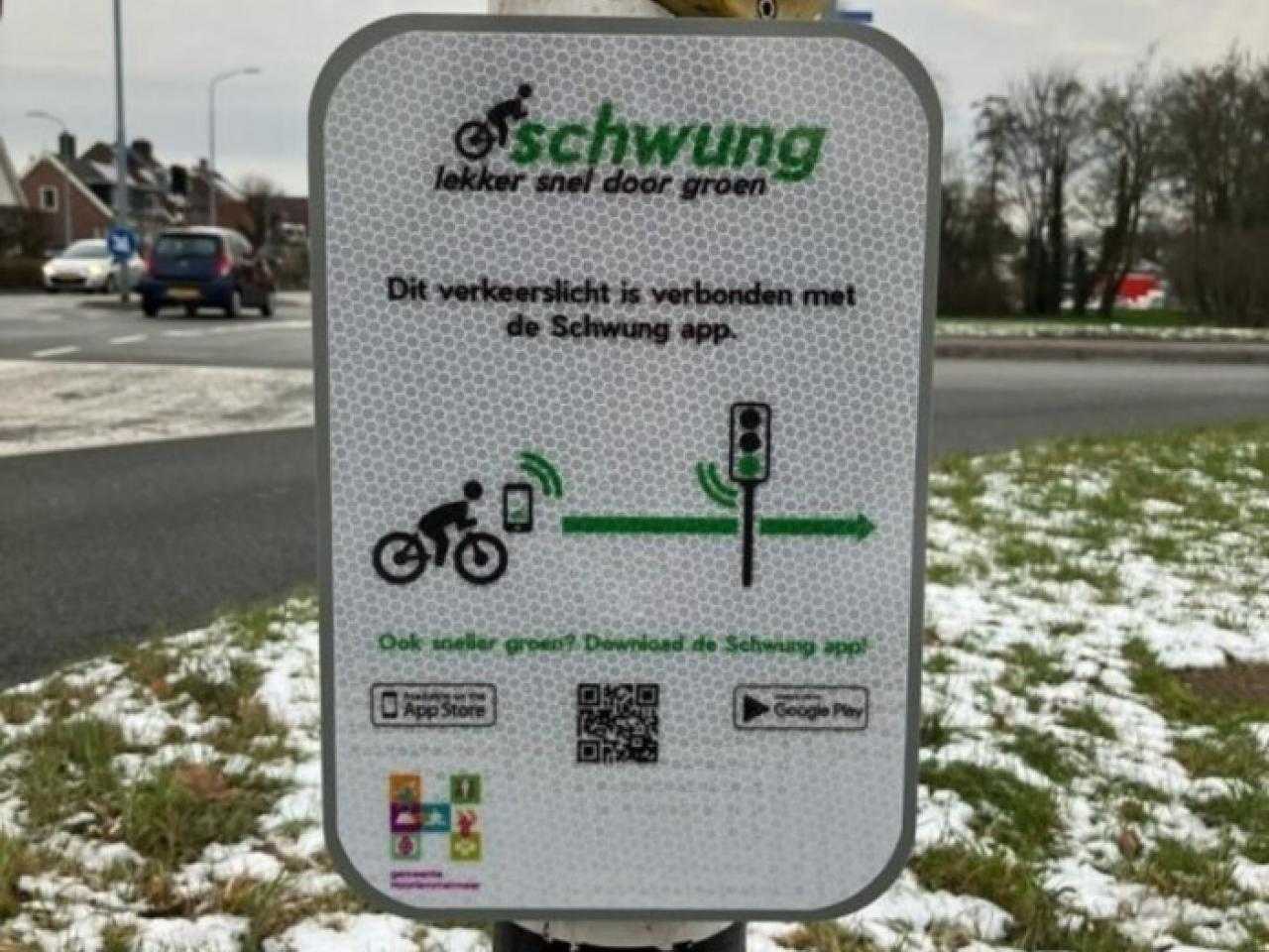 Schwung plate