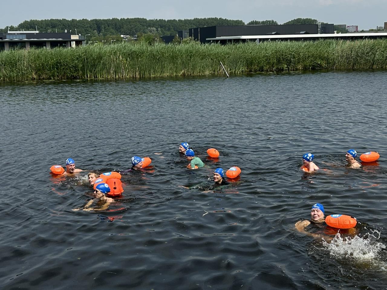 Zwemmers in het water