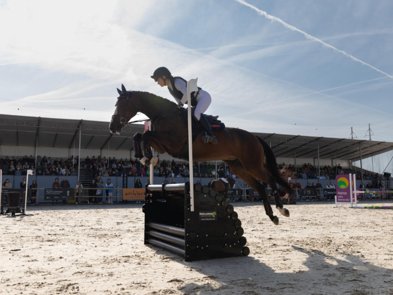Persoon op paard