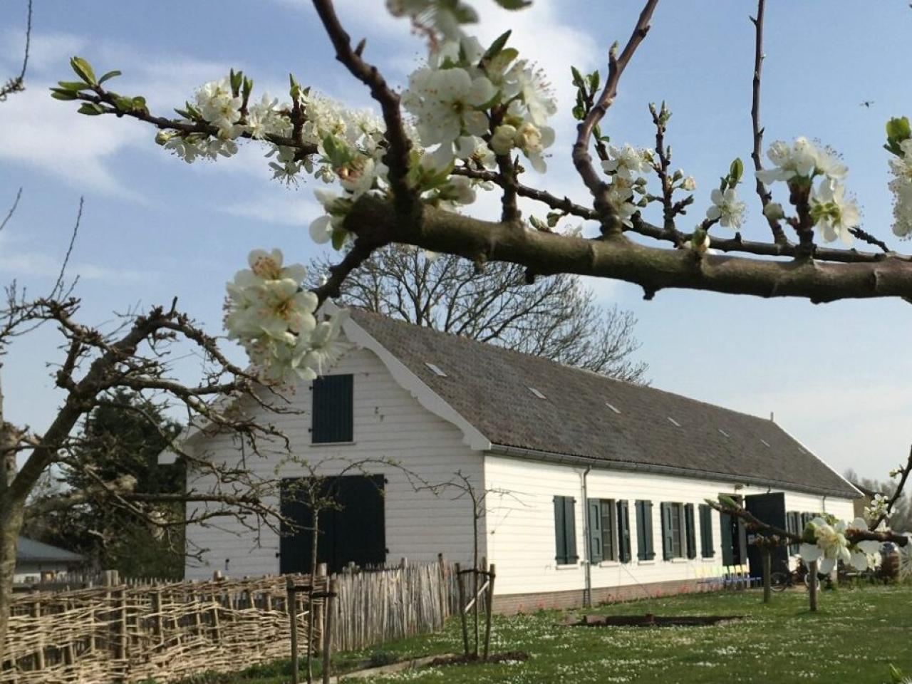 Voormalige genieloods bij Fort bij Aalsmeer met bloesembomen erbij