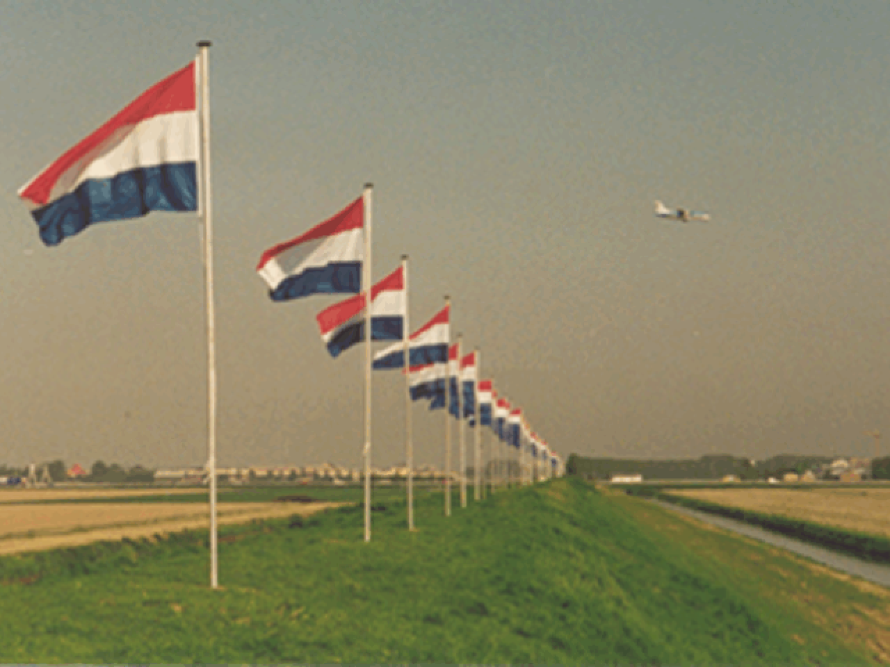 Nederlandse vlaggen
