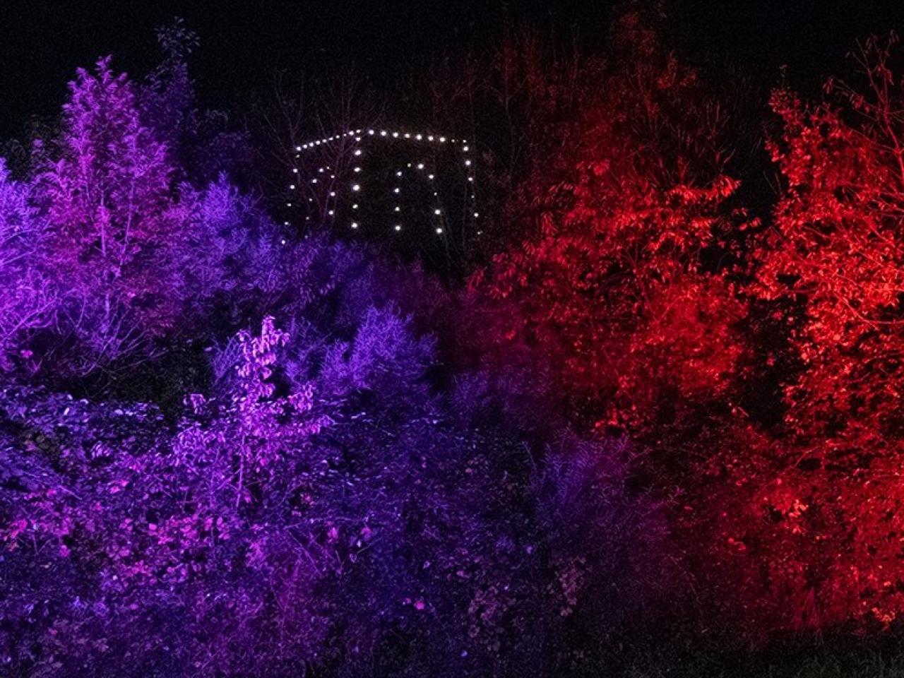 Bigspotters hill verlicht in paars en roze