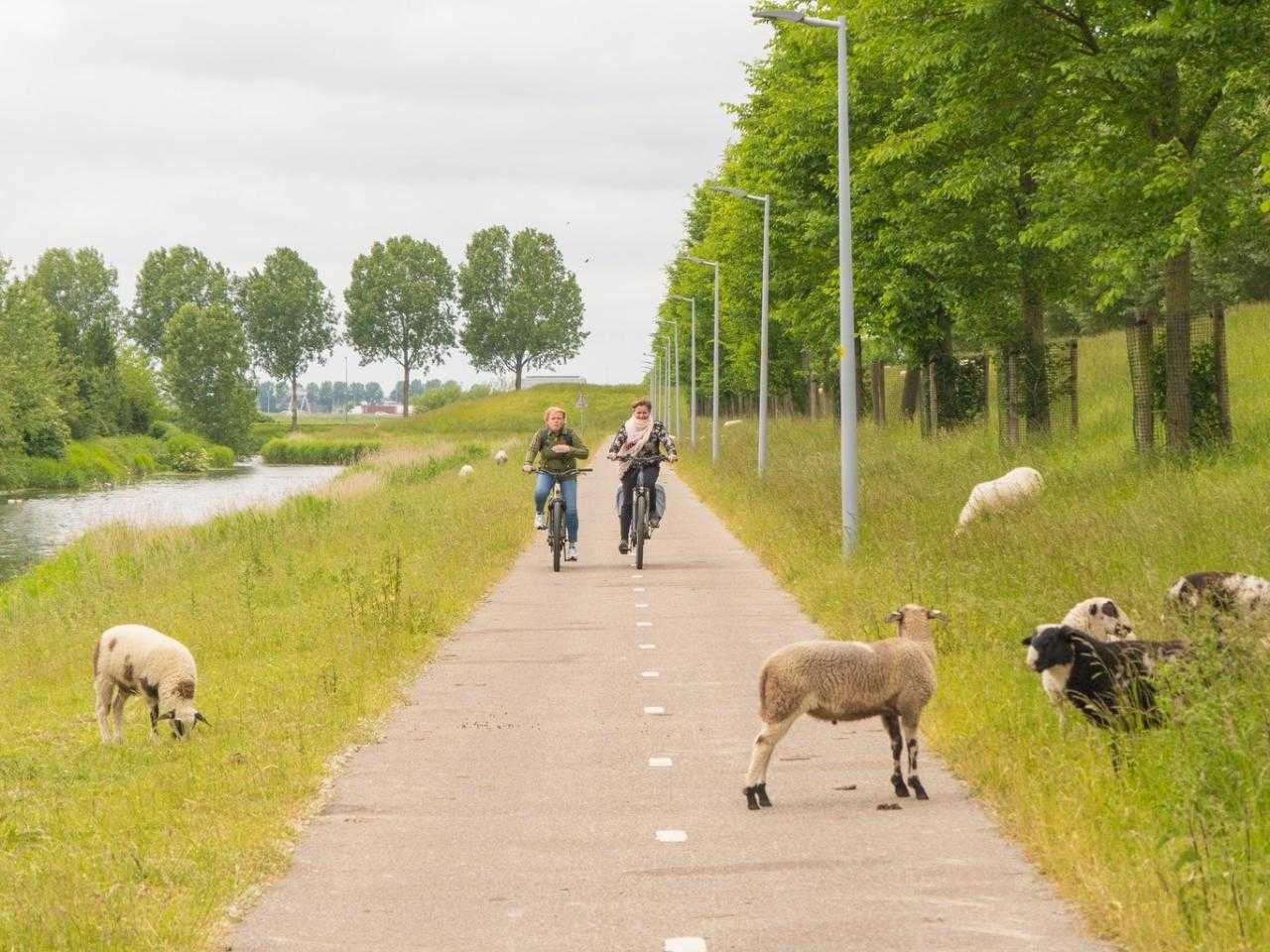 cyclists on the Defense Line of Amsterdam