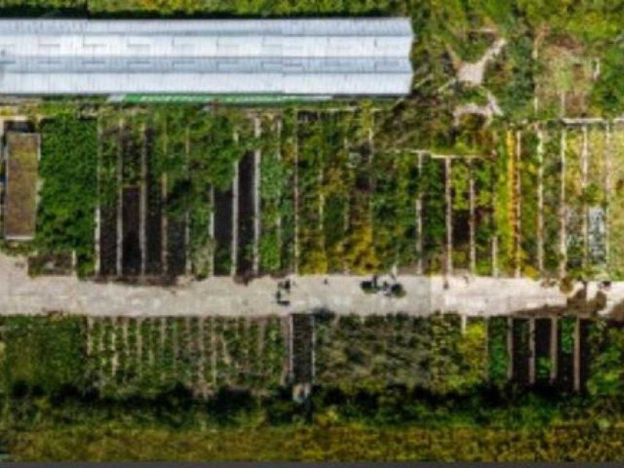 Plattegrond lincolnpark buurttuin