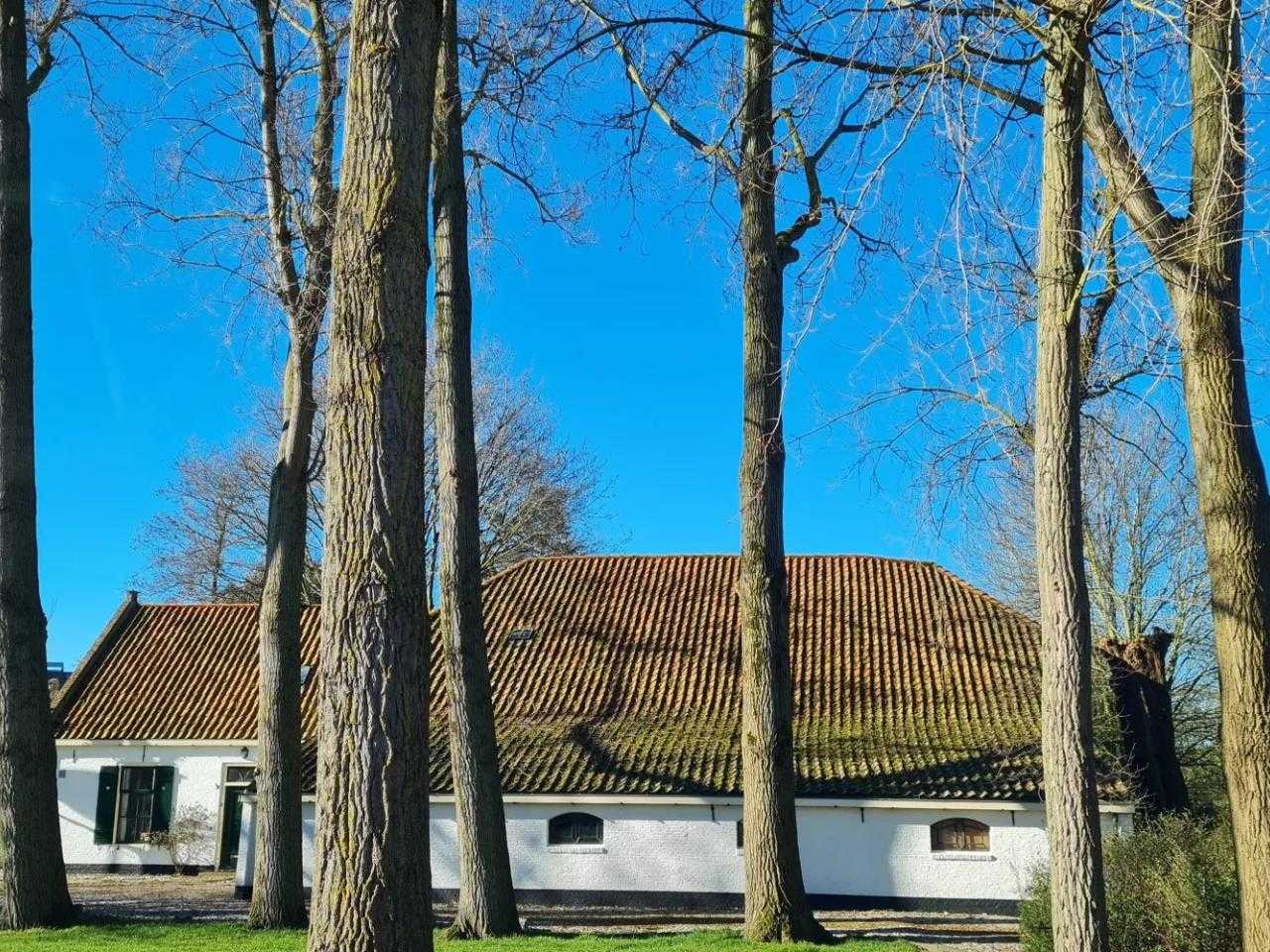 De witte boerderij