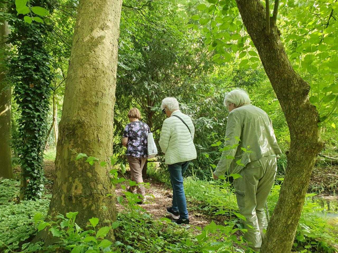 Mensen wandelen in het bos
