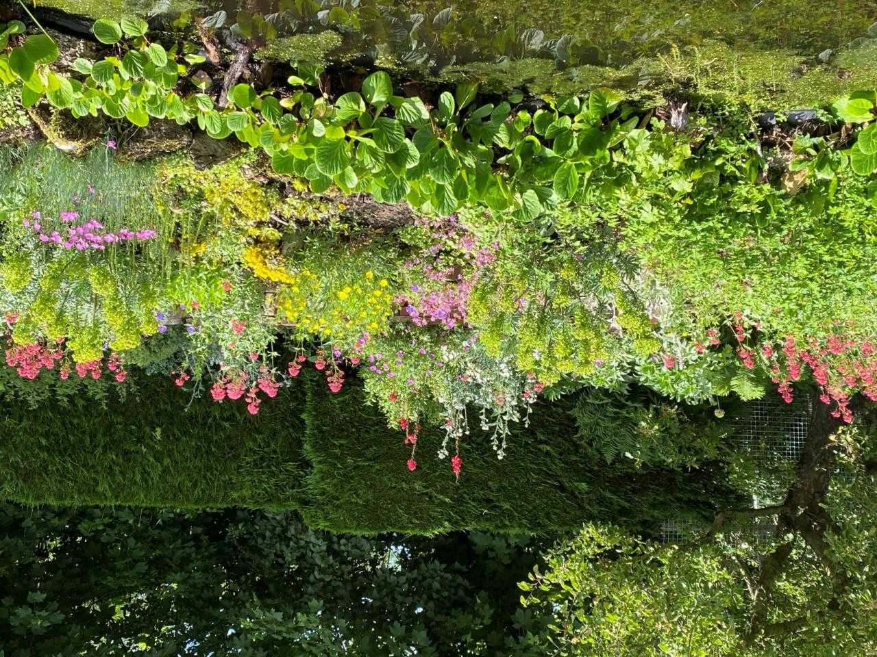 Planten en natuur