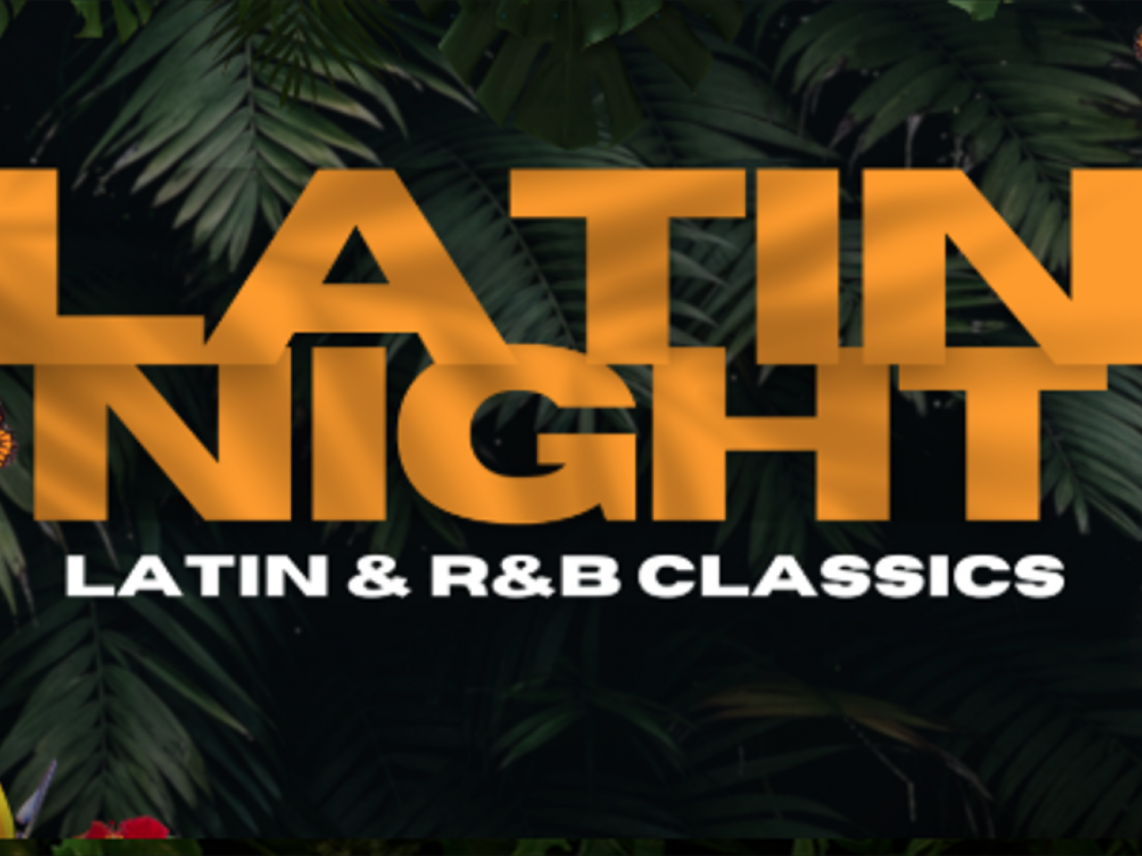 Latin Night