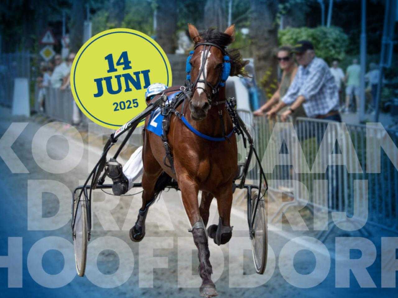 Paard aan het rennen