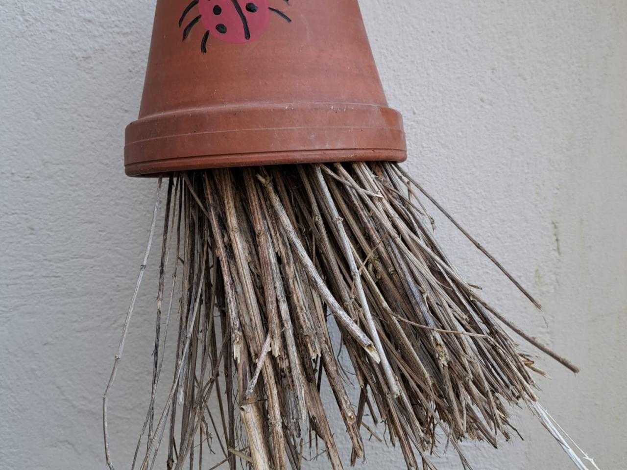 Lieveheersbeestje huisje