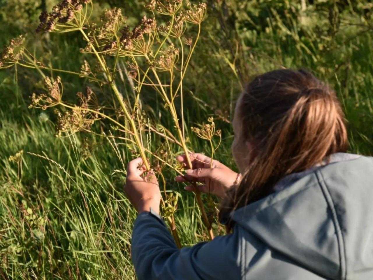 IVN excursie vrouw met plant
