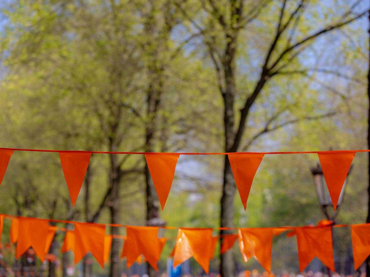 Oranje vlaggen op Koningsdag