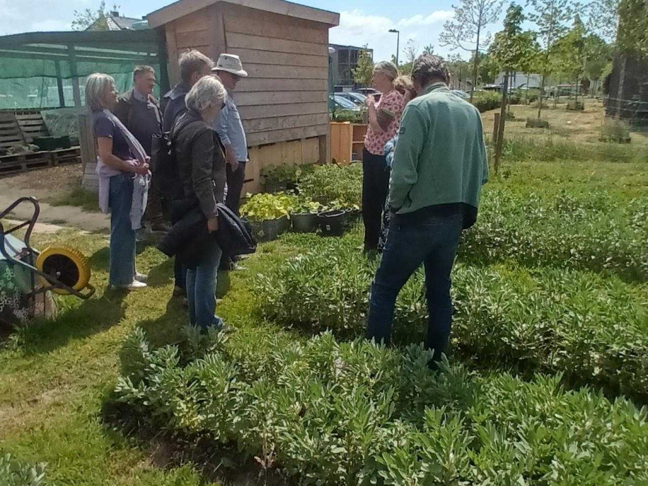 Wickevoorter Stadsboeren