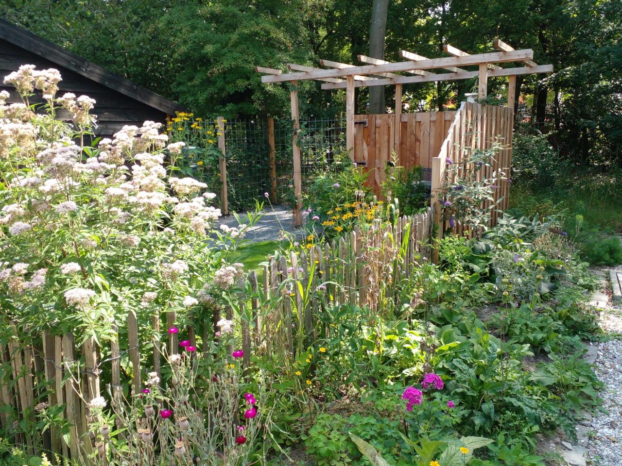 Tuin met bloemen en planten