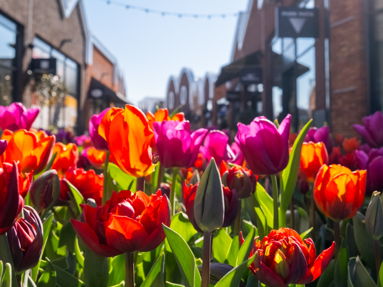 Voorjaar in de outlets