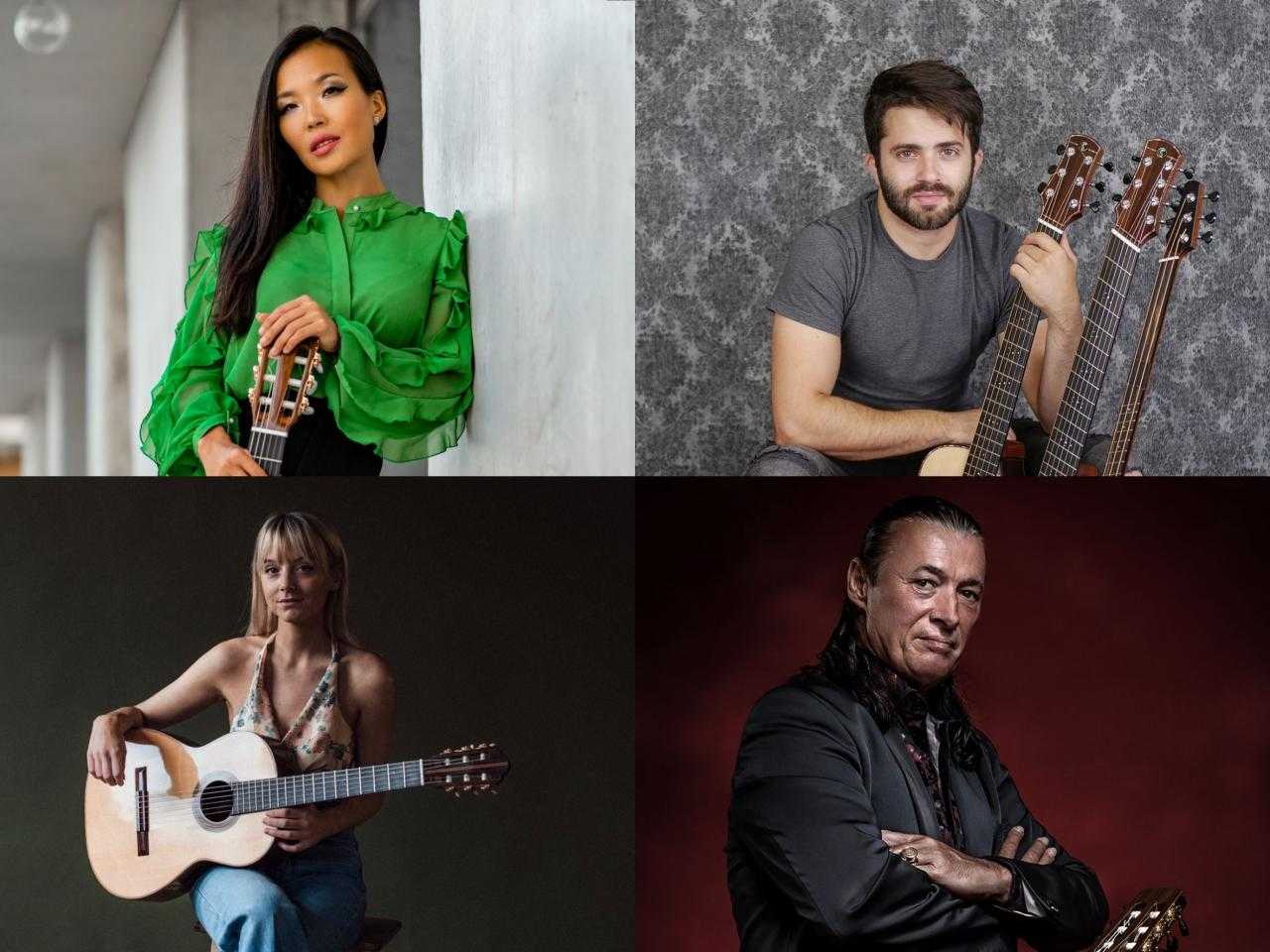 Verschillende muzikanten met hun gitaar.