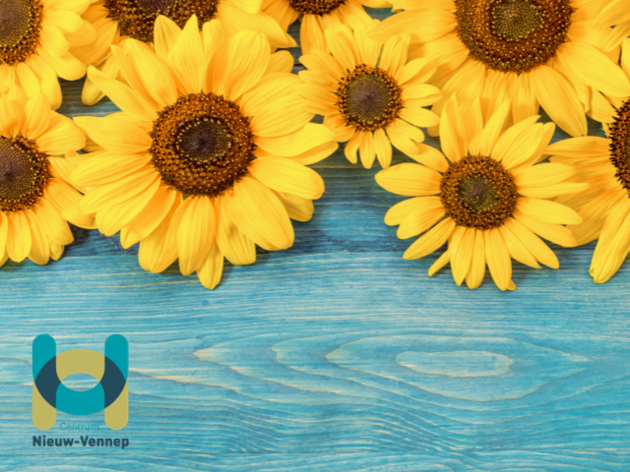 Zonnebloemen op een blauwe tafel