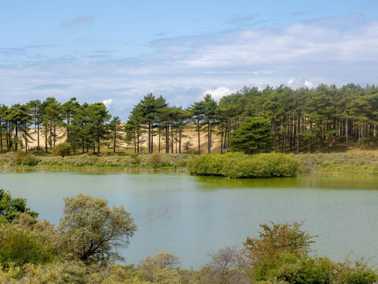 Duinmeer