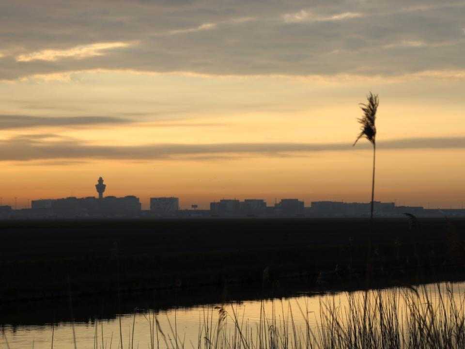 Schiphol-Rijk: bustling business park at Schiphol Airport