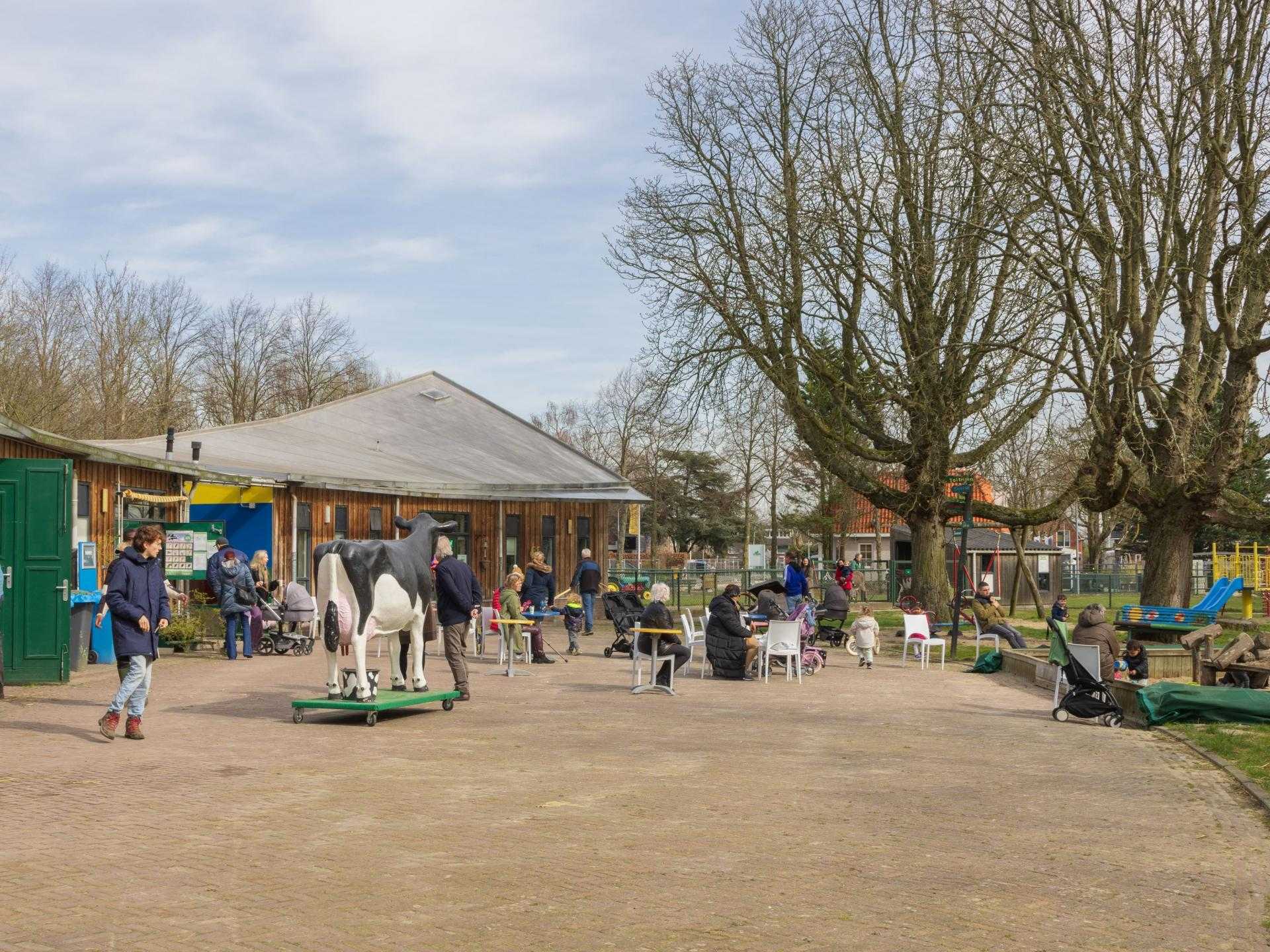 De Boerenzwaluw petting zoo: the farm for everyone | Visit Haarlemmermeer